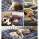 Medium Pet Bed