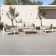 Reyne Outdoor Lounge set